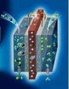 氫燃料電池工作模型
